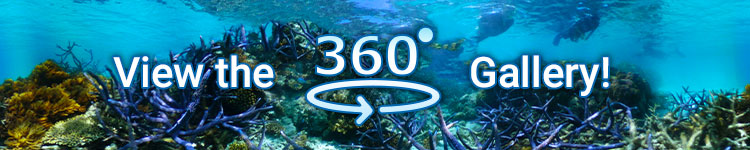 Ocean Spirit Virtual 360° Tour