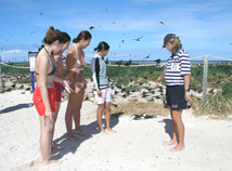 Michaelmas Cay Bird Sanctuary